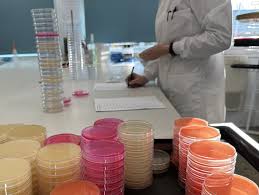 Teaching & Learning Laboratory